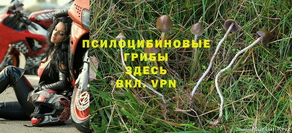 первитин Балахна