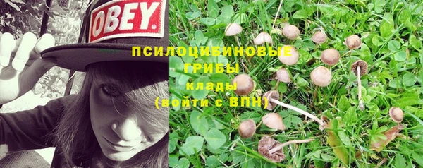 первитин Балахна