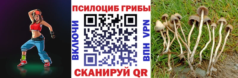 Галлюциногенные грибы Psilocybe  цены наркотик  Кохма 